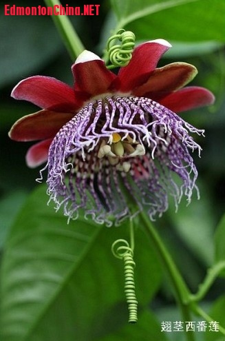 20130610084753391.jpg