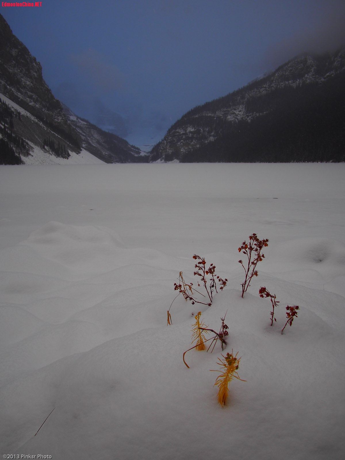 Banff in Winter-2.jpg