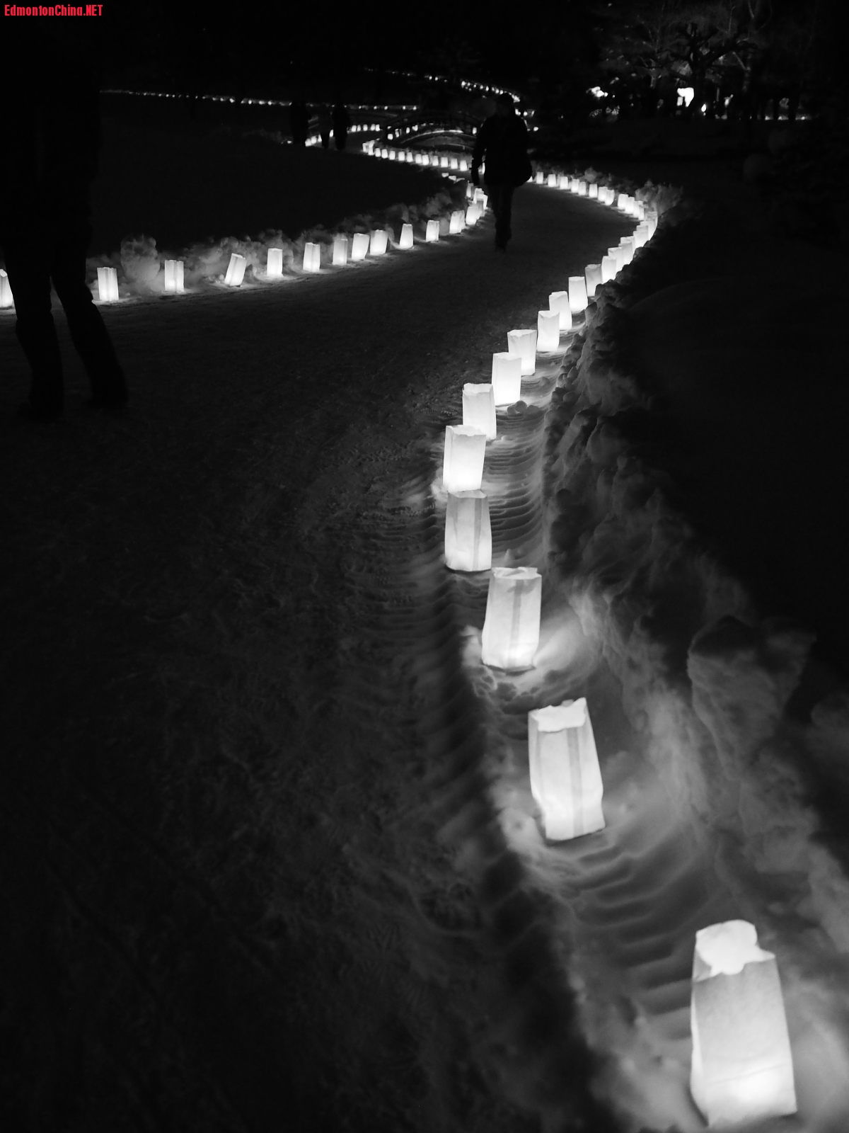 2013.Luminaria-14.JPG