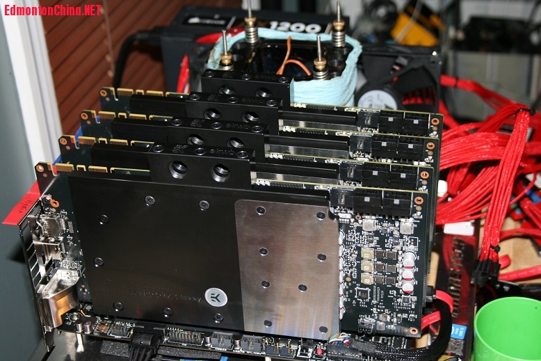 8103da296963[1].jpg