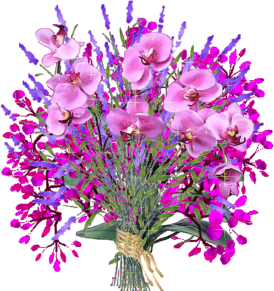 0bd162d9f2d3572cf4dce8858b13632762d0c3a9.gif