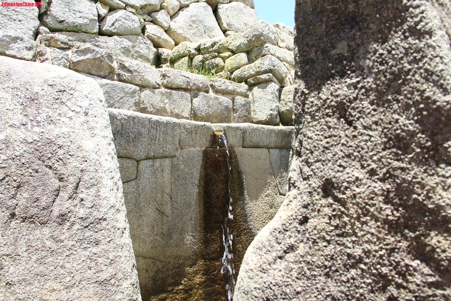 IMG_8050.jpg