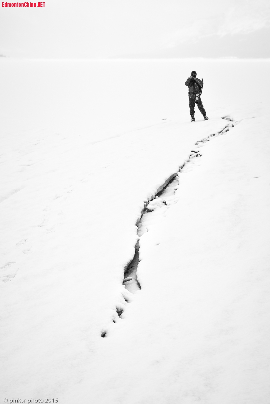 2015.02.Abraham Lake-101.jpg