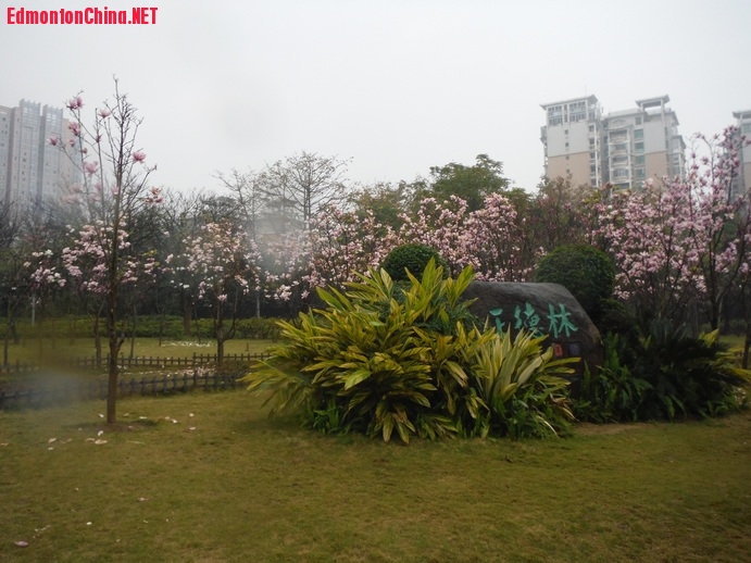 DSCF6827.JPG