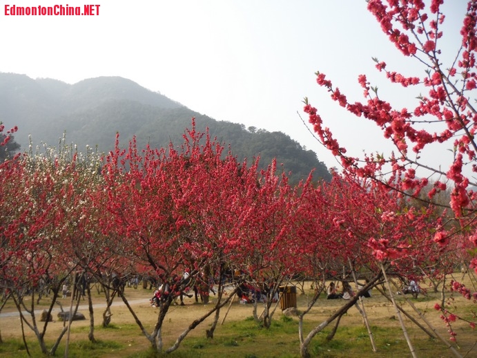 DSCF7069.JPG