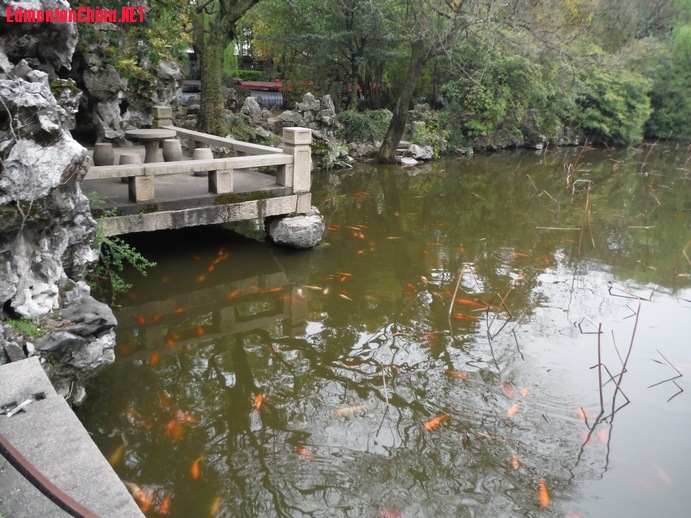 DSCF9321.JPG