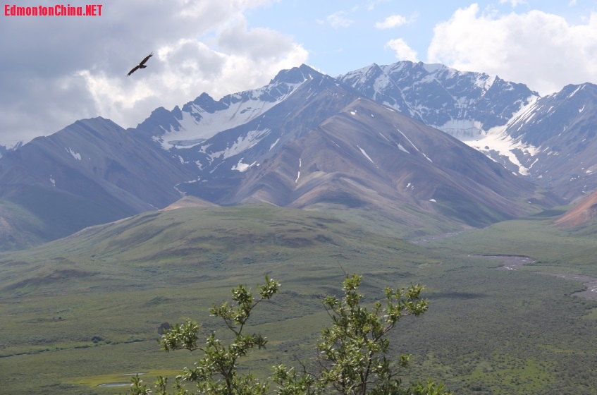 Denali-1.jpg