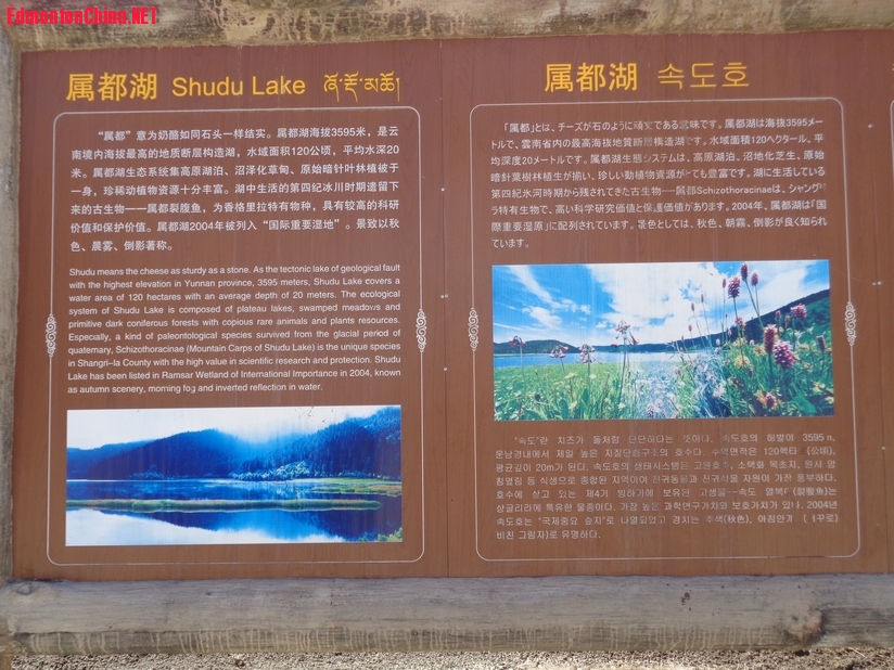 DSC02855.JPG