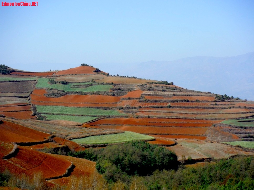 DSCF1538.JPG