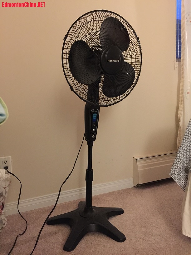 black fan.jpg