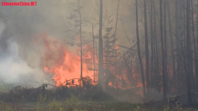 wildfire-strathcona-county.jpg