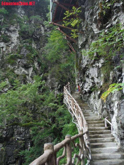DSCF4270.JPG