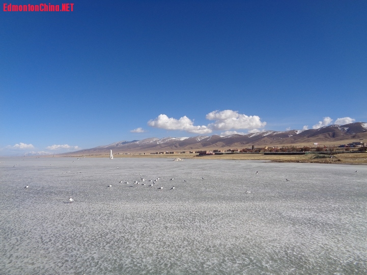DSC09057.JPG
