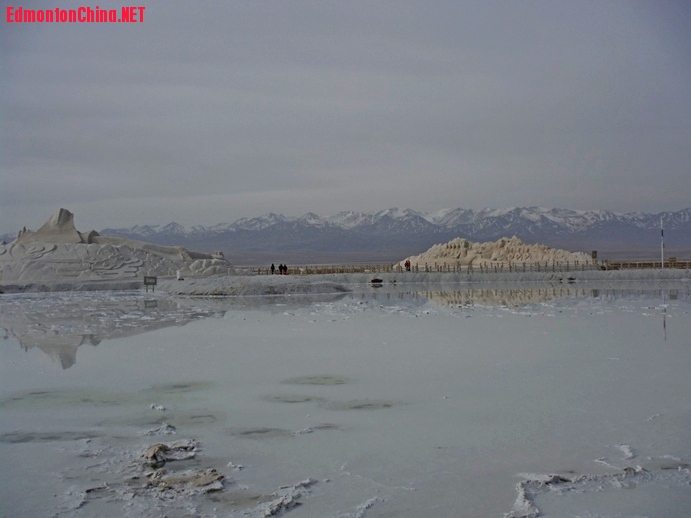 DSCF5617.JPG