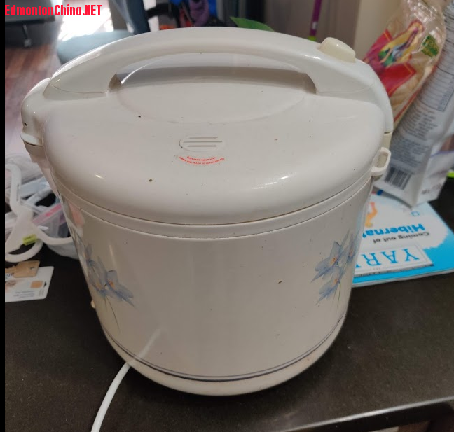 rice cooker1.PNG