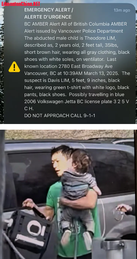 1742931429619.png