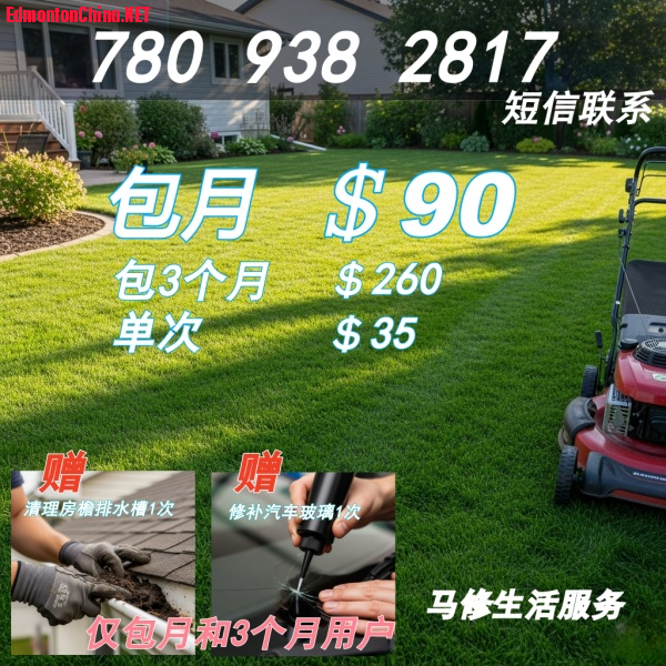 7809382817