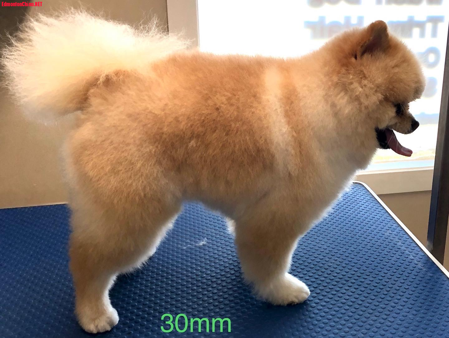 A47842CB-9CD8-4AED-9D14-24149CCCC079.jpeg