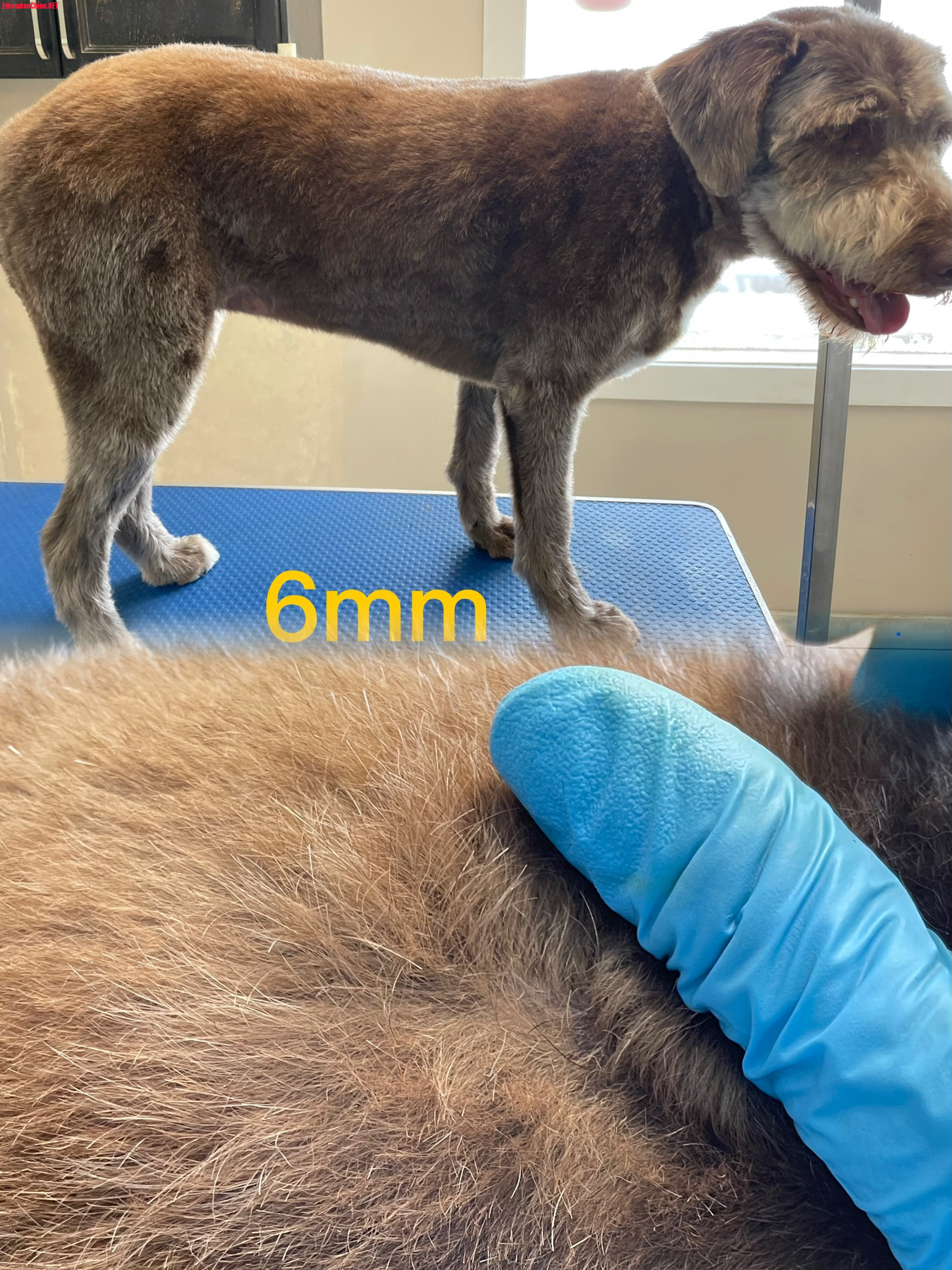 IMG_9976.jpeg
