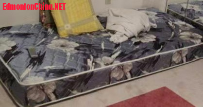 A13-Single Mattress w. Box.jpg