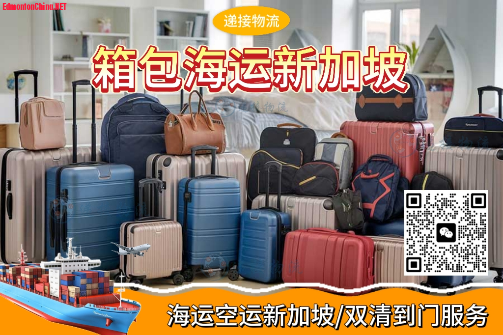26.2.28xjp.jpg