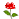 Icon52